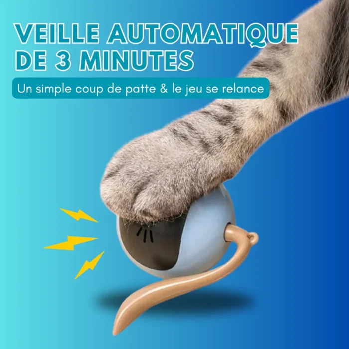 Jouet Interactif Pour Chat - CaptiChat – Image 2