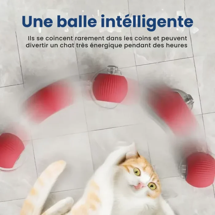 Balle Interactive - PawBall – Image 4