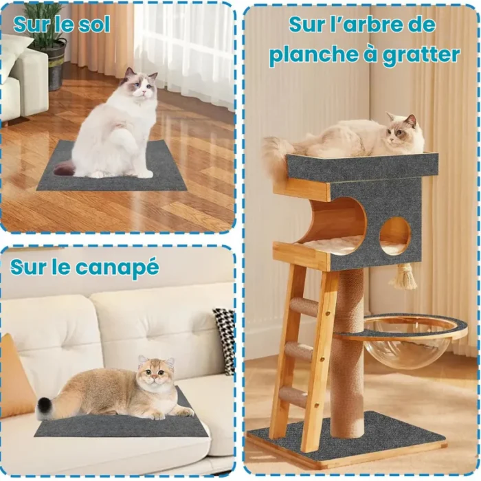 Polymères à Gratter Pour Chat - Polygriffe – Image 7